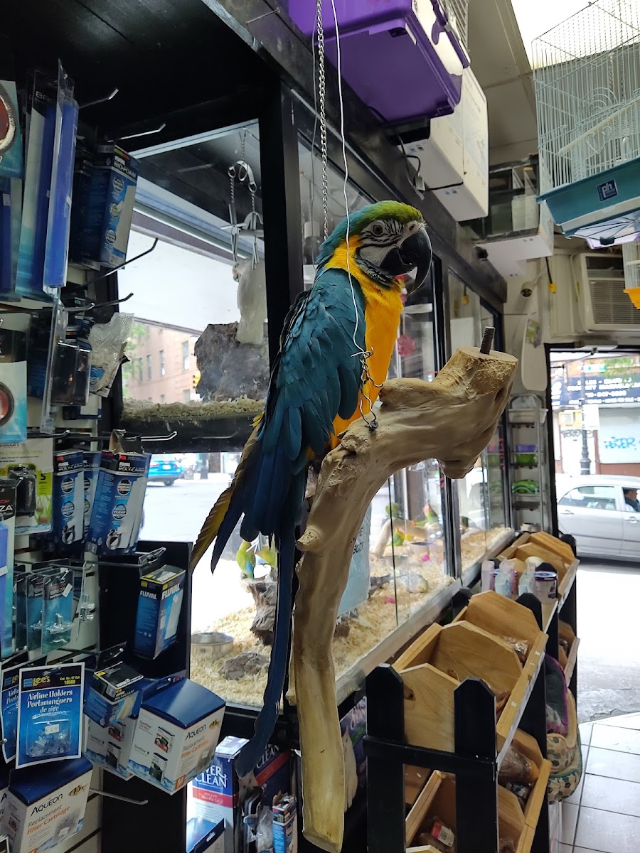 Tropical Pets photo 1