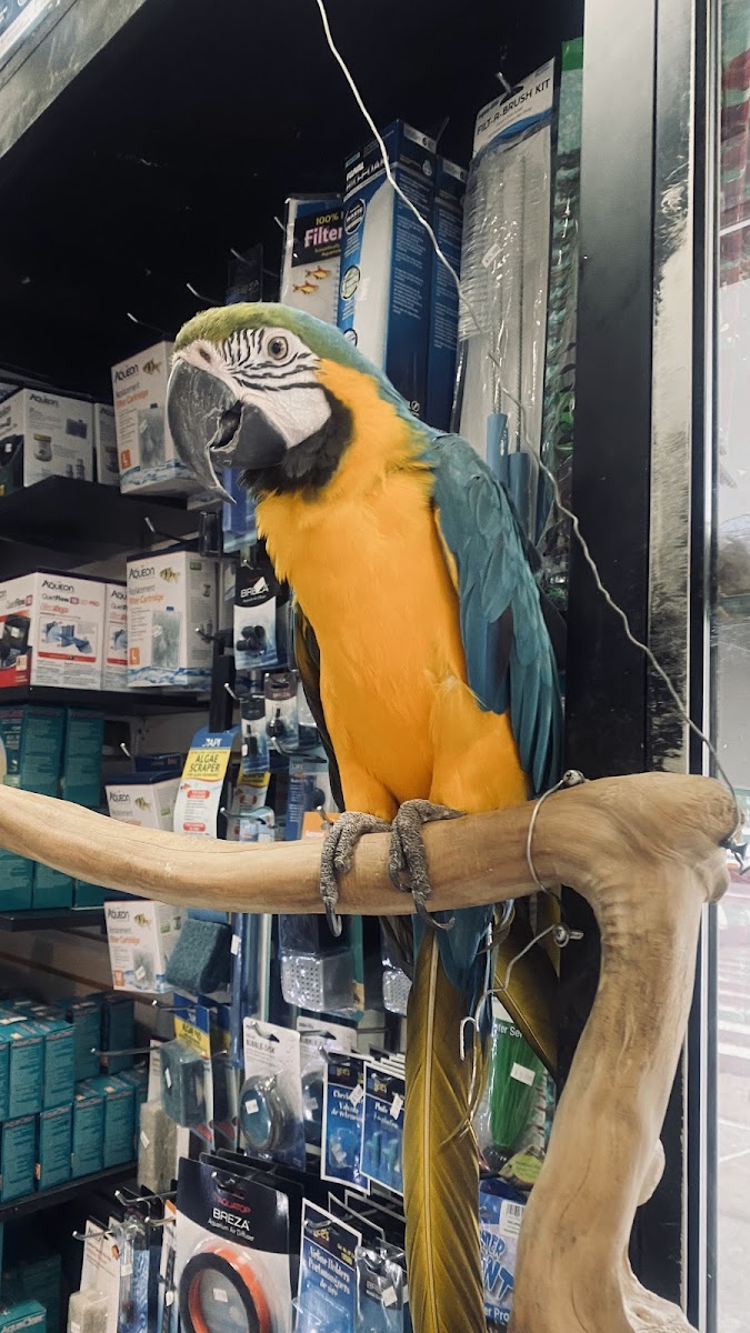 Tropical Pets photo 4